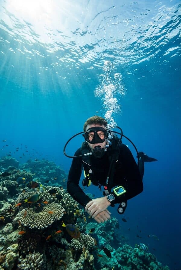 Diver traveler
